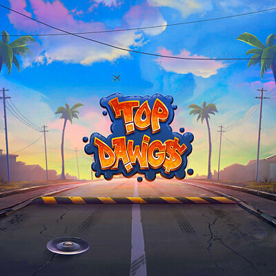 MainioCasino_TOPDAWGS